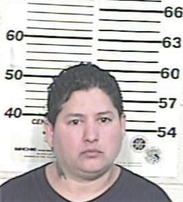 Karla Guanajato, - Hidalgo County, TX 