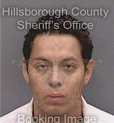 Yosvany Salomonbarzaga, - Hillsborough County, FL 