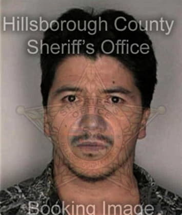 Daniel Santana, - Hillsborough County, FL 