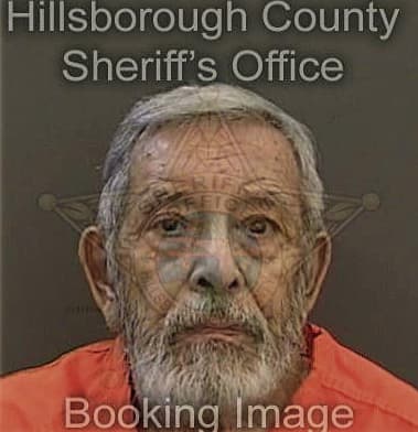 Theodor Von-Zielinski, - Hillsborough County, FL 