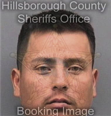 Carlo Lopeparo, - Hillsborough County, FL 