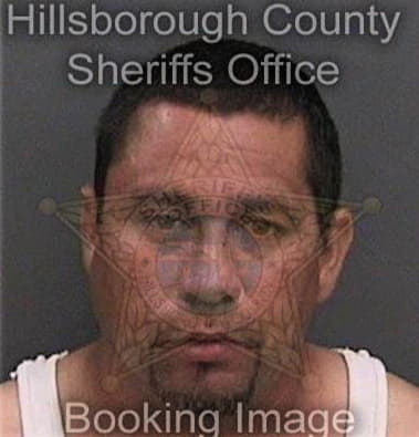 Ismael Reyes, - Hillsborough County, FL 