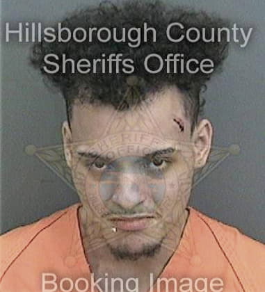 Hector Fernandez, - Hillsborough County, FL 