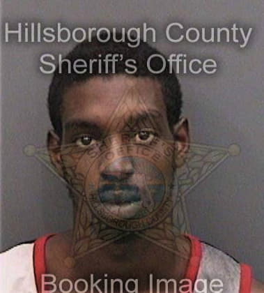 Steven Ford, - Hillsborough County, FL 