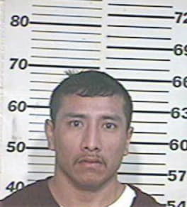 Mario Hermosillo, - Hidalgo County, TX 