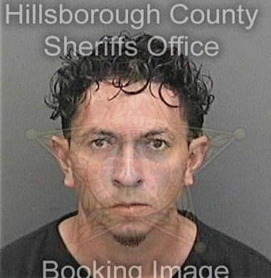 Marcos Irizzaryortiz, - Hillsborough County, FL 