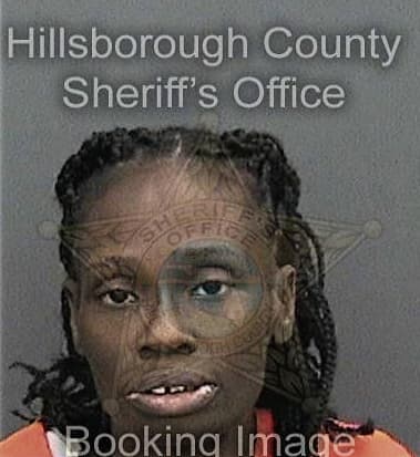 Dwikendra Lee, - Hillsborough County, FL 