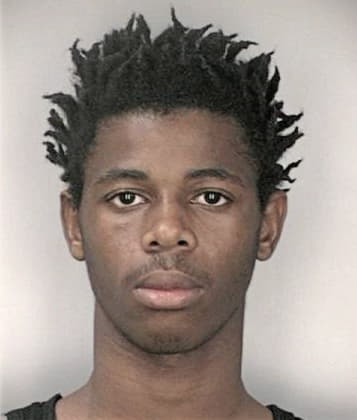 Kenneth Lloyd - Hillsborough County, FL 