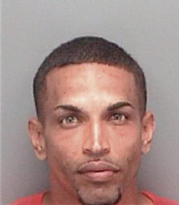 Falgencio Ochoa, - Pinellas County, FL 