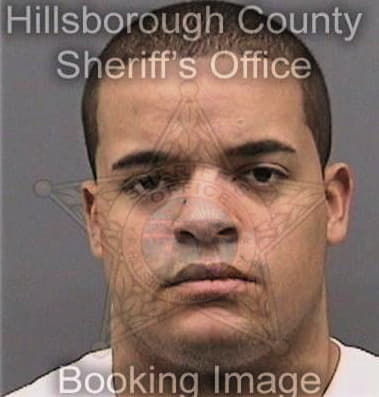 Edilcer Guzmanmorales, - Hillsborough County, FL 