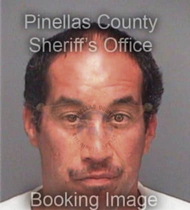 David Vincelli, - Pinellas County, FL 