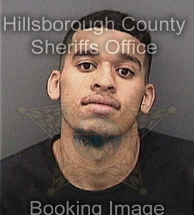 Mario Atkinson, - Hillsborough County, FL 