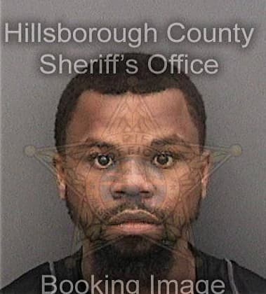 Damion Council, - Hillsborough County, FL 