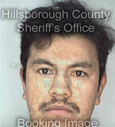 Hector Diaz, - Hillsborough County, FL 