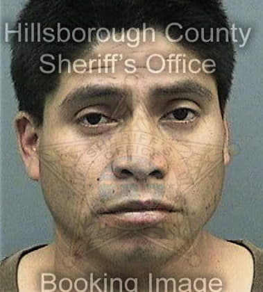 James Disano, - Hillsborough County, FL 