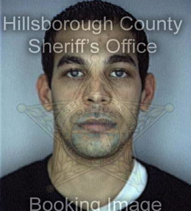 Rogelio Moreno, - Hillsborough County, FL 