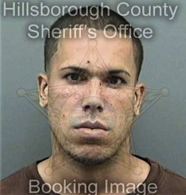 Abel Osariocuok, - Hillsborough County, FL 