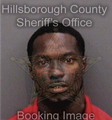 Patrick Williams, - Hillsborough County, FL 