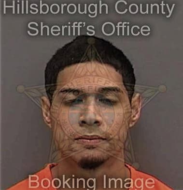 Eric Dediego, - Hillsborough County, FL 