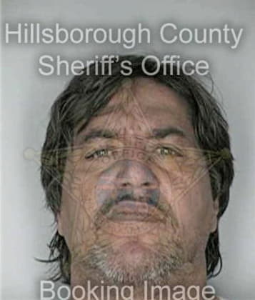 Dale McKinzie - Hillsborough County, FL 