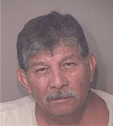 Ovidio Portillo-Serano, - Osceola County, FL 