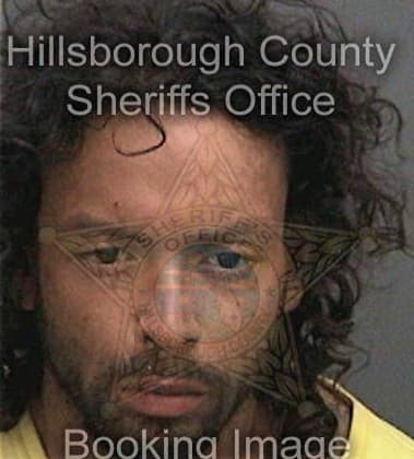 Nicholas Davis, - Hillsborough County, FL 