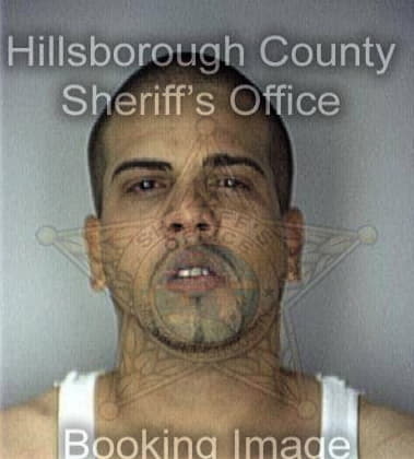 Emilio Garcia, - Hillsborough County, FL 