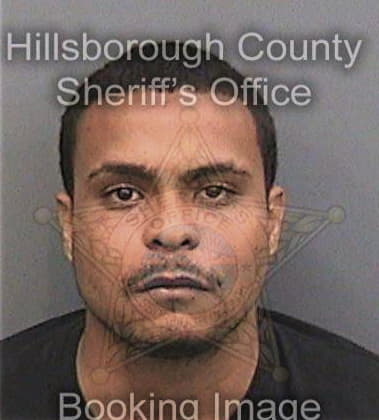 Andrew Grim, - Hillsborough County, FL 