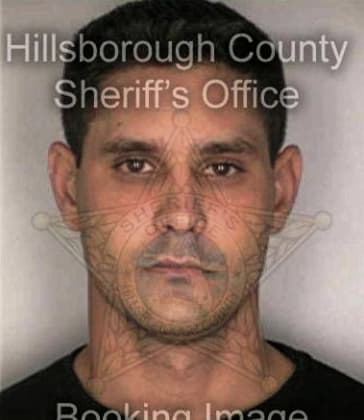 Daniel Hymes, - Hillsborough County, FL 