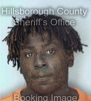 Jerry McNeil - Hillsborough County, FL 