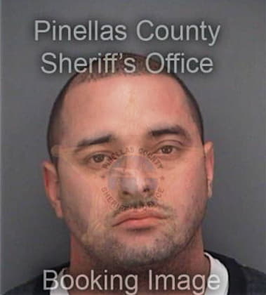 Patrick Ressler, - Pinellas County, FL 