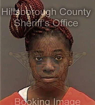 Denae Rumlin, - Hillsborough County, FL 