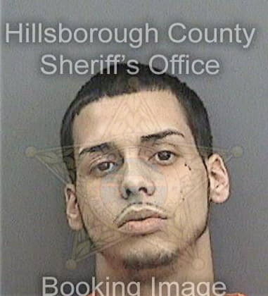 Yoan Terreroamado, - Hillsborough County, FL 