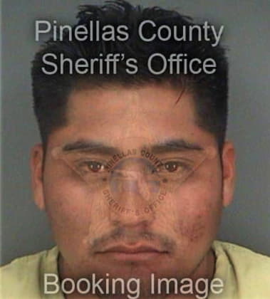 Angel Vargasramirez, - Pinellas County, FL 