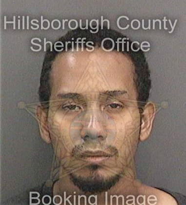 Ronaldo Aradaferrer, - Hillsborough County, FL 