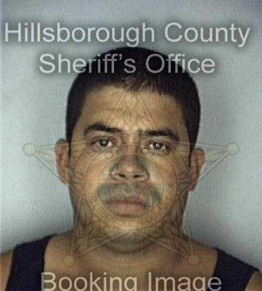 Ruben Castillo, - Hillsborough County, FL 