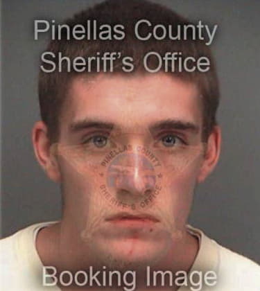 Pat Dellapenna, - Pinellas County, FL 