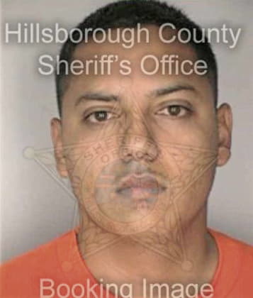 Michael Harris, - Hillsborough County, FL 