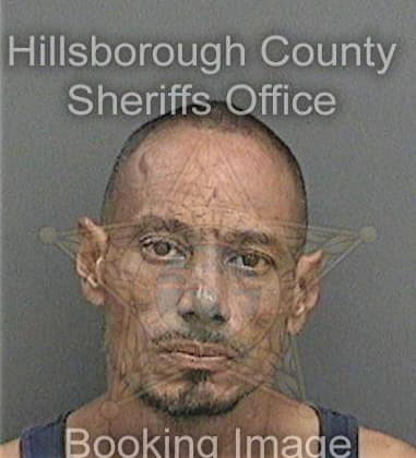 Matthew Lawrence, - Hillsborough County, FL 