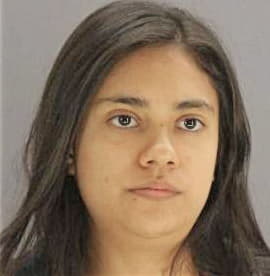 Blanca Villegas - Dallas County, TX 
