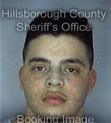 Raphael Viveros, - Hillsborough County, FL 