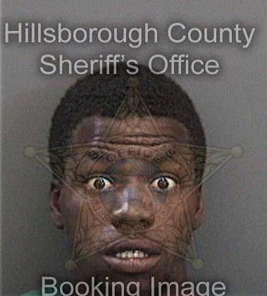 Demario Albury, - Hillsborough County, FL 