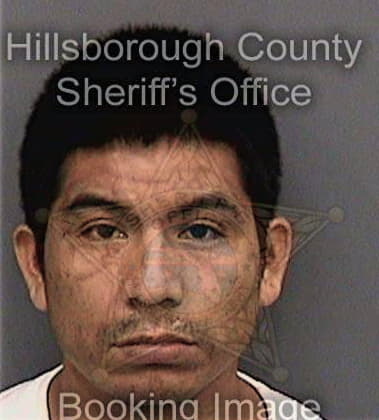 David Girdwood, - Hillsborough County, FL 