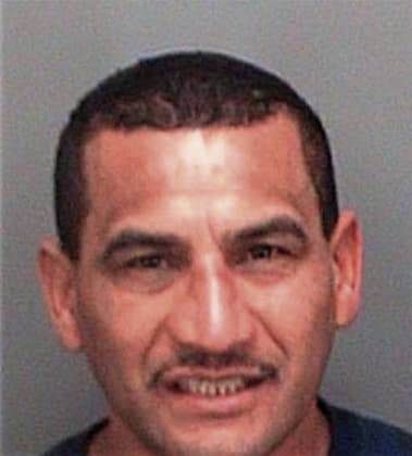 Raul Maganaherrera, - Pinellas County, FL 