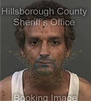 Aaron Reyes, - Hillsborough County, FL 