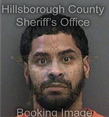 Miguel Vargasarroyo, - Hillsborough County, FL 