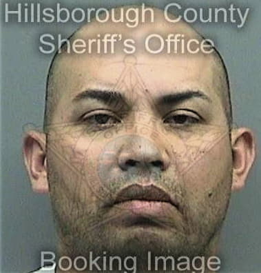 Bradley Britton, - Hillsborough County, FL 