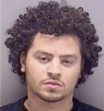 David Flores-Varela, - Lee County, FL 