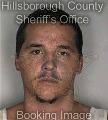 Antonio Gomelgomez, - Hillsborough County, FL 