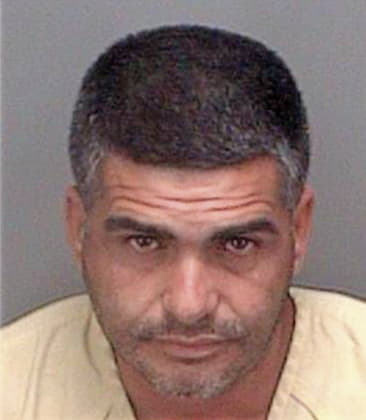 Alberto Martinezdelaflor, - Pinellas County, FL 